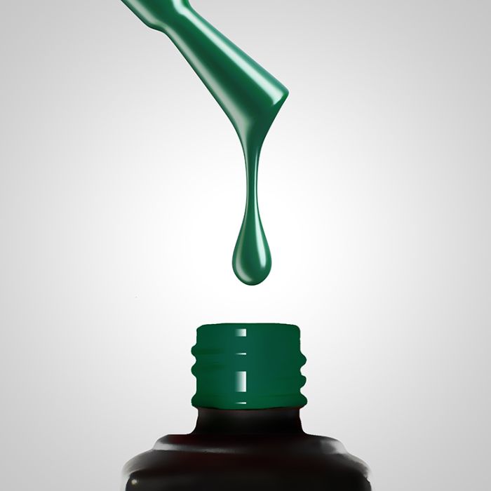 284 Turtle – 10 ml